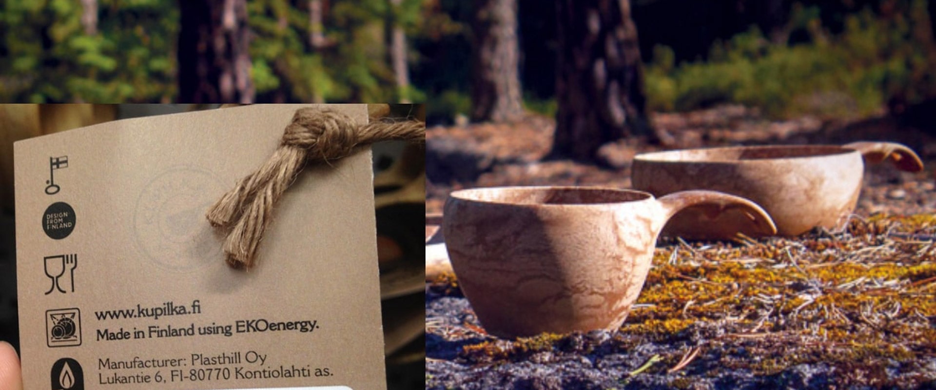 Molentum Oy | Laadukkaat kotisivut ja verkkokaupat yritykselle