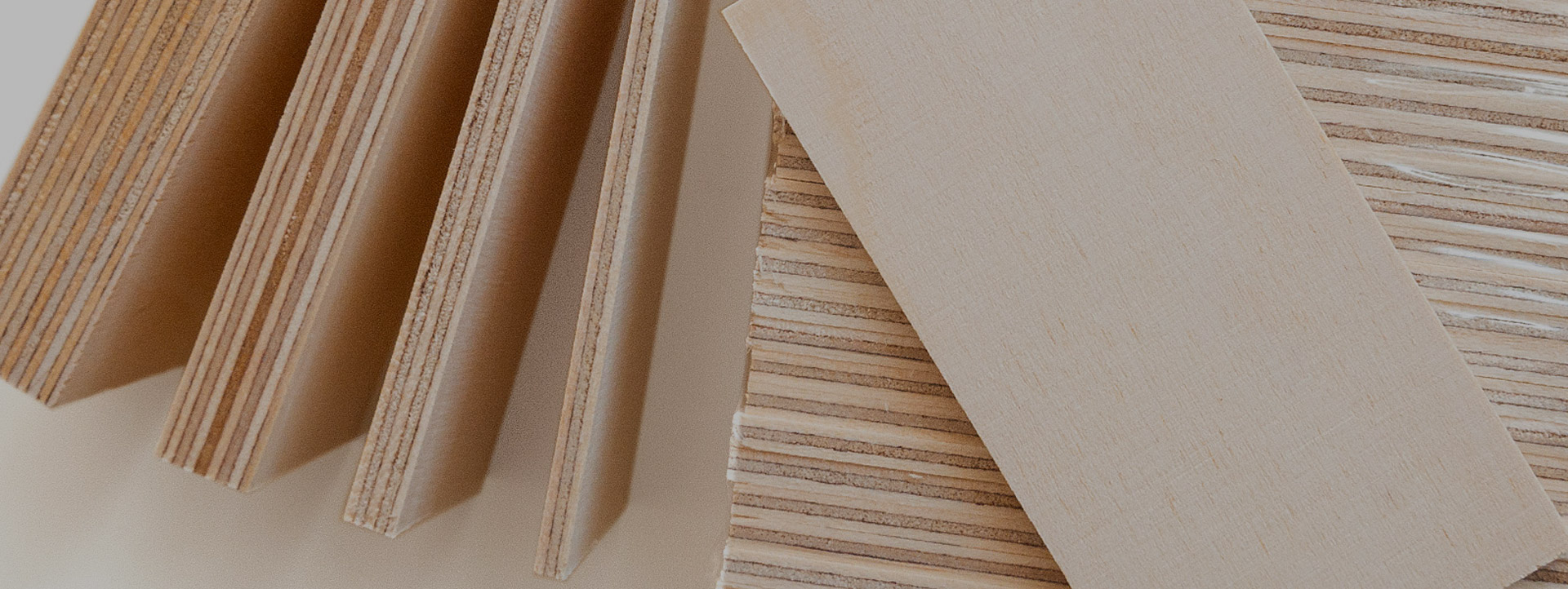 Molentum Oy | Laadukkaat kotisivut ja verkkokaupat yritykselle