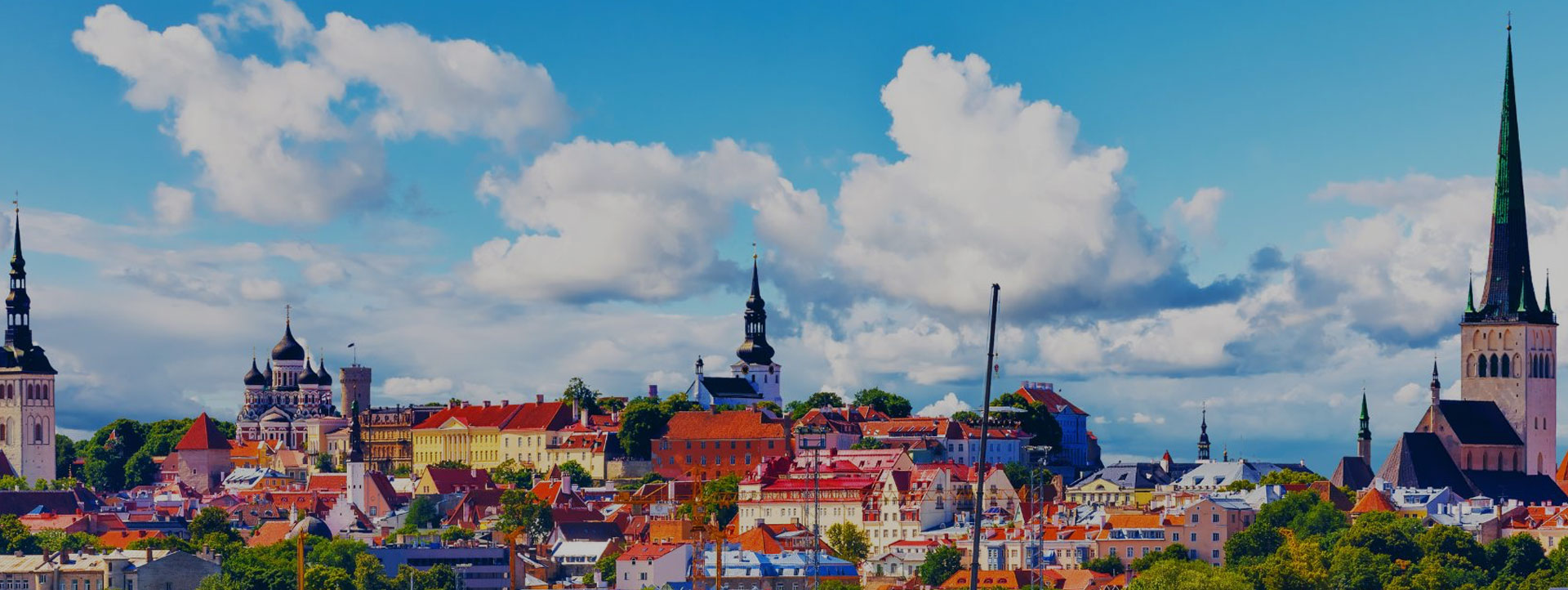 Molentum Oy | Laadukkaat kotisivut ja verkkokaupat yritykselle